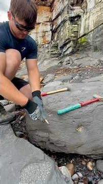 A HUGE shale landslide had exposed an incredible Jurassic fossil hunting site! 😱