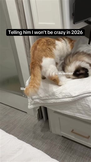 Live Air Traffic Control Conversations for New Year 2026