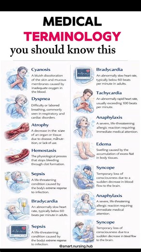 Master the language of medicine! 🩺 #MedicalTerminology #NursingStudents #HealthcareEducation