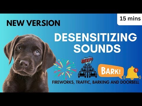 Overcome Reactive Dogs Desensitizing Sounds for Dogs Fireworks, Traffic, Barking, Doorbell