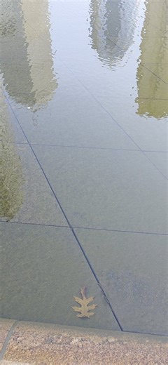 Boston’s Christian Science Plaza Reflecting Pool stretches nearly 700 feet long and is one of the city’s most iconic urban spaces.The massive reflecting pool is famous for mirroring the Boston skyline and surrounding architecture.🤍