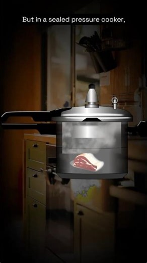 Why Food Cooks Faster in a Pressure Cooker #physics #science #sciencefacts #scienceexplained