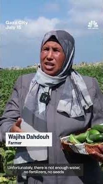 Palestinian farmers fight to restore their livelihoods