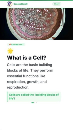 Cell Structure and Functions, Class 8 Science | Chapter 8 | Class 8 Biology | NCERT | ConceptScroll