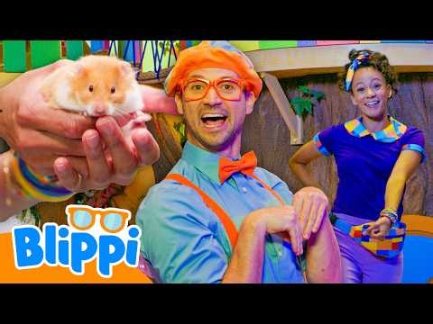 Love Your Pets 💞🐾 | Blippi Songs 🎶| Educational Songs For Kids