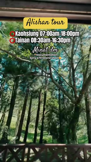 Alishan tour day trip from Kaohsiung or Tainan | Book via DM