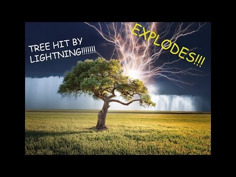 TREE EXPLODES!! HIT BY LIGHTNING!!!