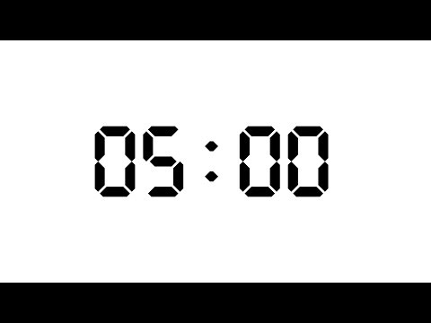 5 Minute | 300 Seconds Timer | White Screen With Silent Focus | NX