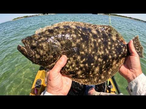 Time for Skinny Water Fluke (Flounder) Fishing!