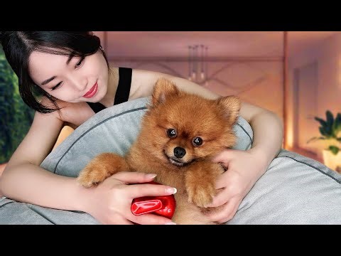 ASMR Relaxing Puppy Pampering