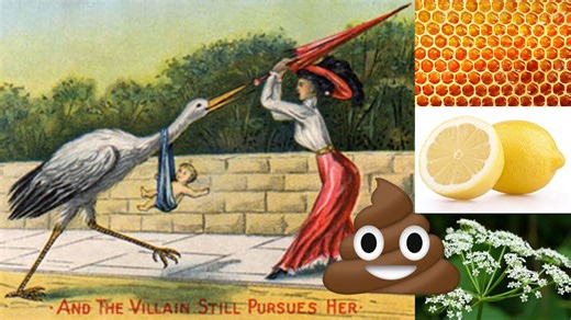 A history of birth control