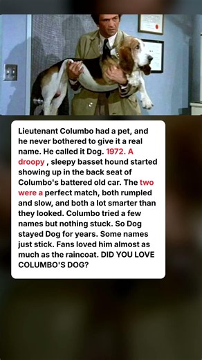 Columbo Had a Dog. He Named Him Dog.