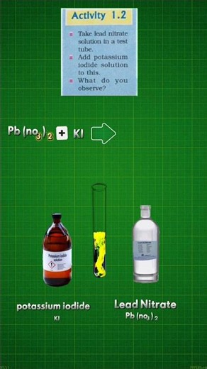 Activity 1.2 class 10 science Lead Nitrate & Potassium Iodide #shorts #class10 #chemistry #science
