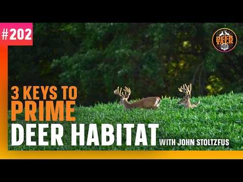 #202: 3 KEYS TO PRIME DEER HABITAT with John Stoltzfus | Deer Talk Now Podcast