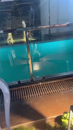 Pool side water cascade fountain ✅😍 #fountain #naturesquare9 #waterfall #shorts