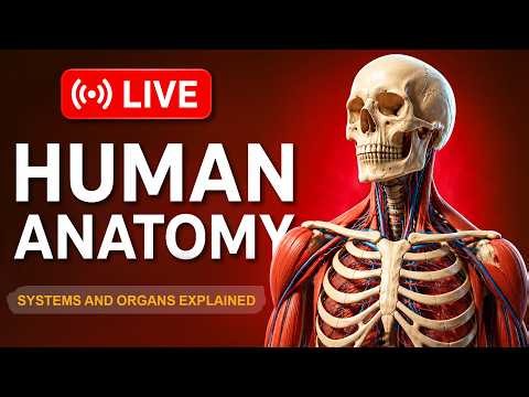 🔴 LIVE Human Anatomy and Physiology | Inside Us