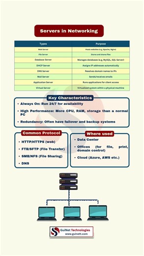 What is a Server? | Networking Basics Explained