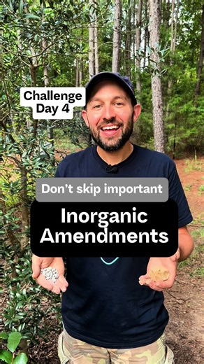 Essential Soil Amendments for Thriving Fruit Trees