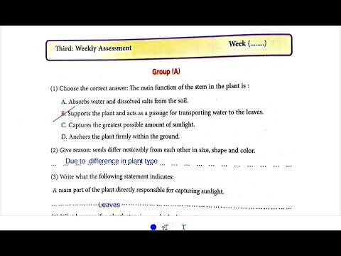 Science G4 Weekly Assessment 4, 5, 6: 4th Grade Science Weekly Assessment - First Term (New Curri...