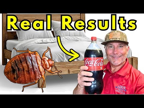 Homemade Bed Bug Trap That Actually Works!