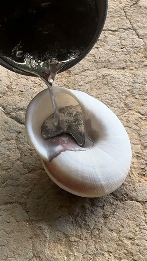 DIY snail shell from scrap aluminum 🐌 #metalcasting #restoration #shorts