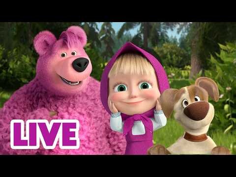 🔴 LIVE STREAM 🎬 Masha and the Bear 💖🤗 Smile Big, Hands on Your Cheeks! 🤩🥰