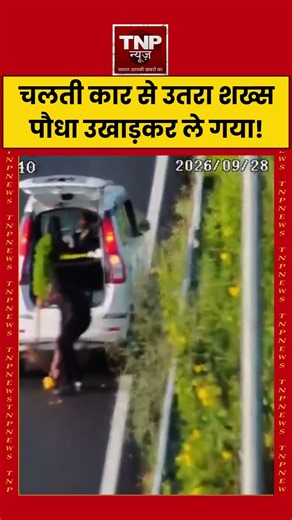 Man Exits Moving Car, Uproots Plant and Takes It Away! चलती कार से उतरा शख्स, पौधा उखाड़कर ले गया!