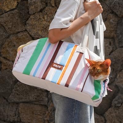 ZEZE Cream White Stripe Traveling Dog & Cat Carrier with Large Mesh Window, Side Drawstring, Safety Clip & Padded Base, 18.8-in - Chewy.com