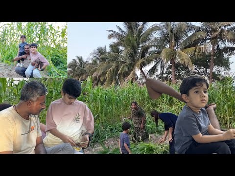 New family member aa gya