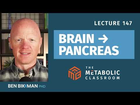 147: How Your Brain Talks to Your Pancreas (The Vagus Nerve Explained)