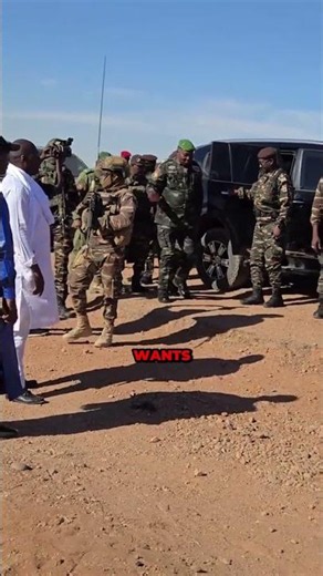 Niger decision shock the world
