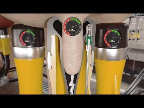 The ADF System 🇦🇺 | How it works | The milking system automation explained