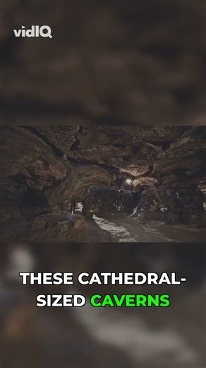 🌿 Vietnam’s Phong Nha Caves: Jungles Inside the Earth