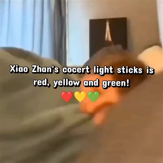 Xiao Zhan & Wang Yibo Concert Zones: Solo Fans vs CPFs Explained