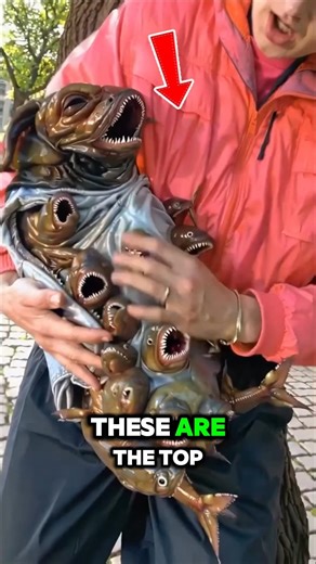 Top 3 Craziest Hybrid Animals in the World! #scary #facts