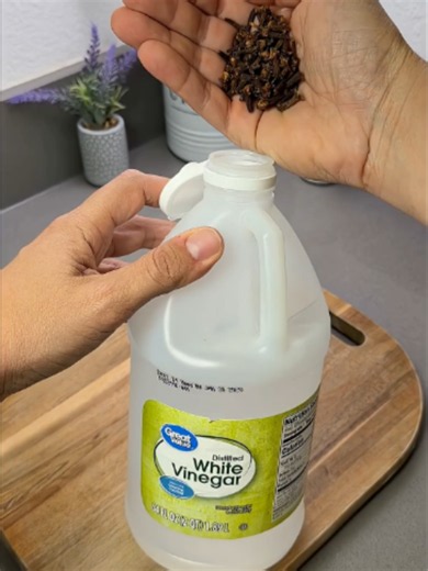 Clove and Vinegar Cleaner Recipe – Simple DIY Surface Cleaner