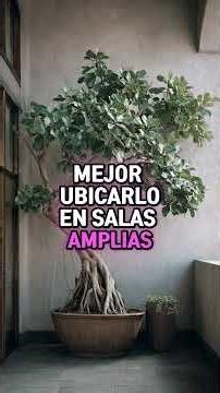 ¿El Ficus produce polen?