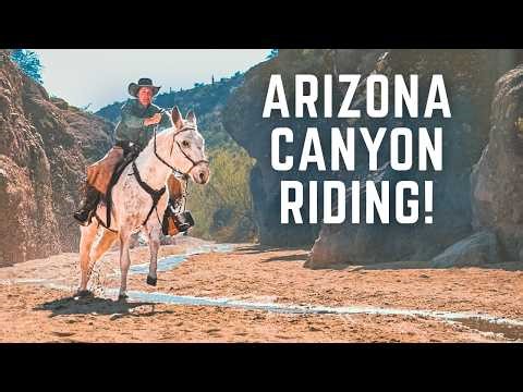 This Mule Ride Led Us Somewhere Incredible | Arizona Desert Canyons