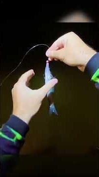 Pesca de Robalo no Rio em Palhoça grande florianopolis #natureza #fishing #pescaria