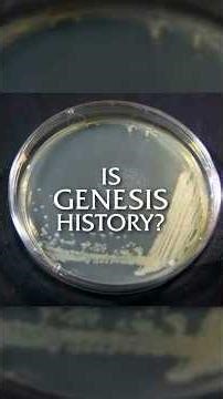 Why Do Scientists LOVE Bacteria?