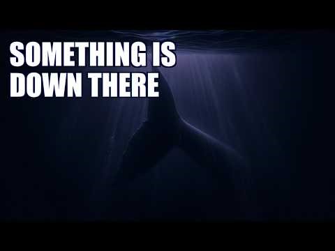 The Bloop: The Terrifying Sound From The Bottom of The Ocean