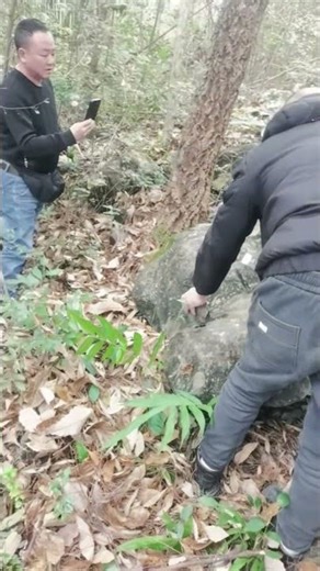 The process of mountain meteorite excavation