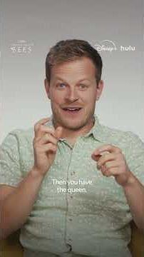 Meet the hive #SecretsOfTheBees