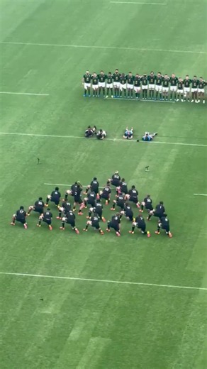 You Won't Believe This Haka Performance 😲 #haka #springboks