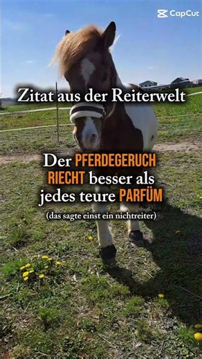 25 października 2026