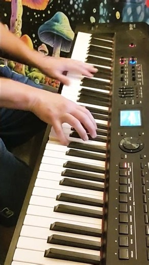 Teenage Mutant Ninja Turtles Theme Song #shortsfeed #music #musician