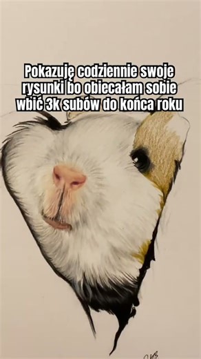 Pokazuje swoje rysunki #fypシ #dlaciebie #rysunek #rysuje #rysowanie #konie #jazdakonna #małybiznes