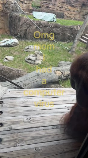 The Computer Virus Joke Explained