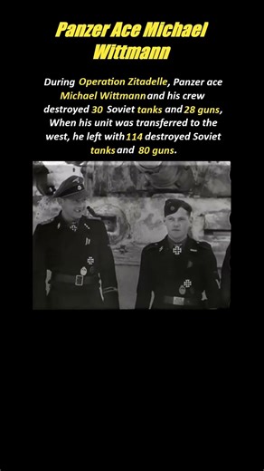 Wittmann vs 100+ Soviet tanks Operation Zitadelle #panzer #wwii #shorts
