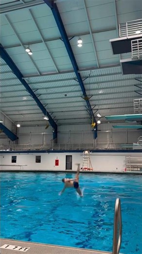 3m spring board Diving #diving #olympicsport #worldaquatics